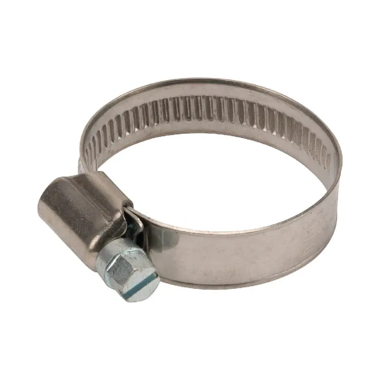 Rau hose clamp 25-40/9 W3  VN38830315 Vicon RG00081154