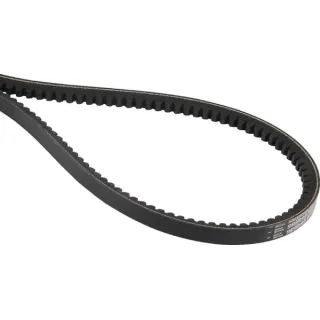 V-Belt  VN43303436 Vicon