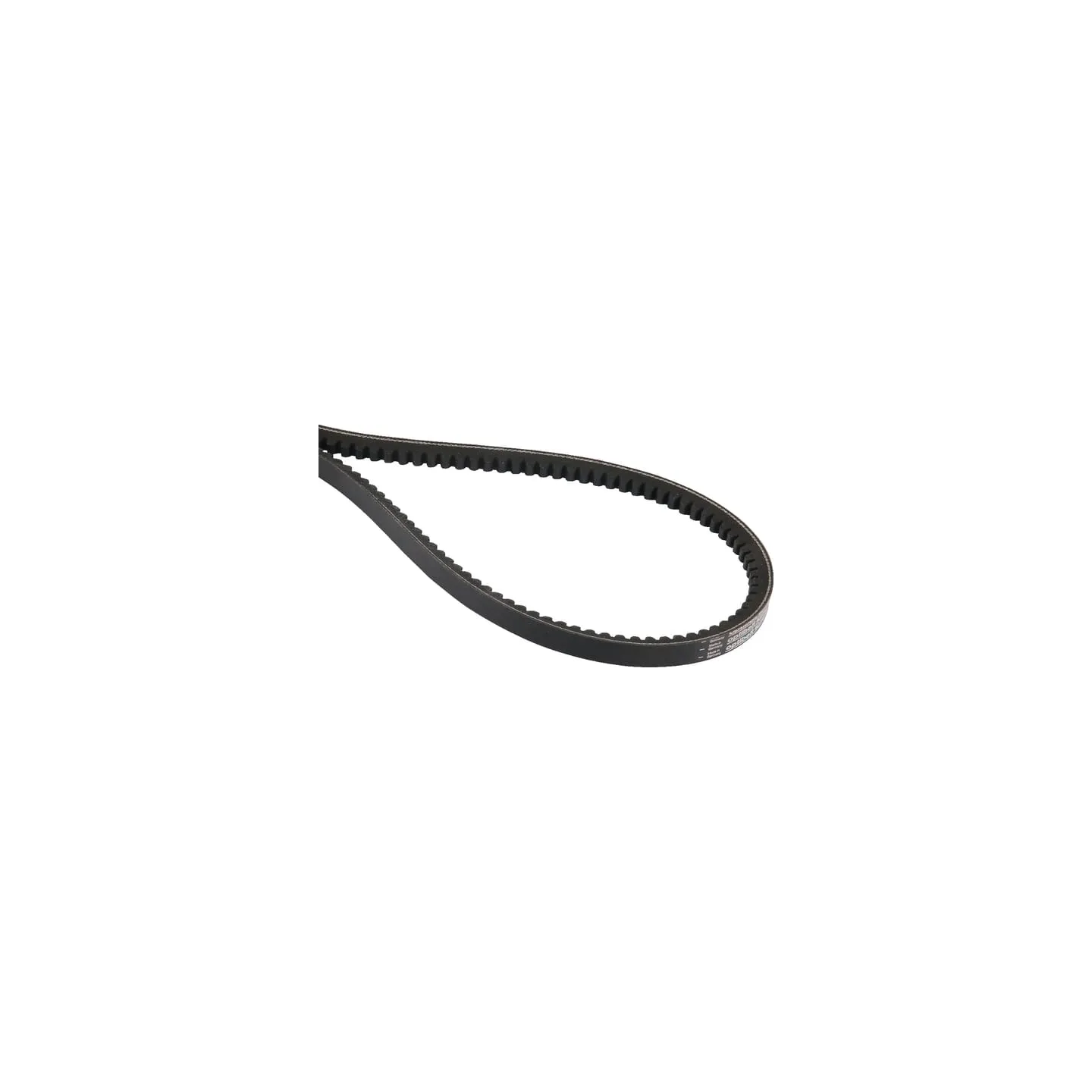V-Belt  VN43303436 Vicon