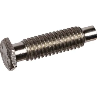 Srew M6x22,5   3010134 Lemken