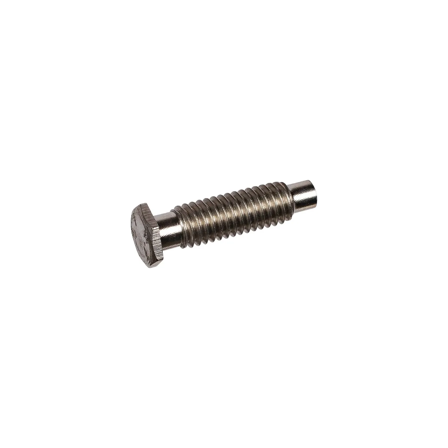 Srew M6x22,5   3010134 Lemken
