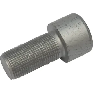sešstūra skrūve M20x1,5x40-10,9 30110255 Lemken