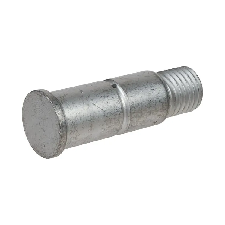 Skrūve D33/28,1x92-M24 3018223 Lemken