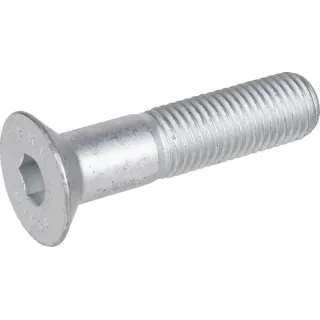 Skrūve M16x70-10,9 3016148 Lemken