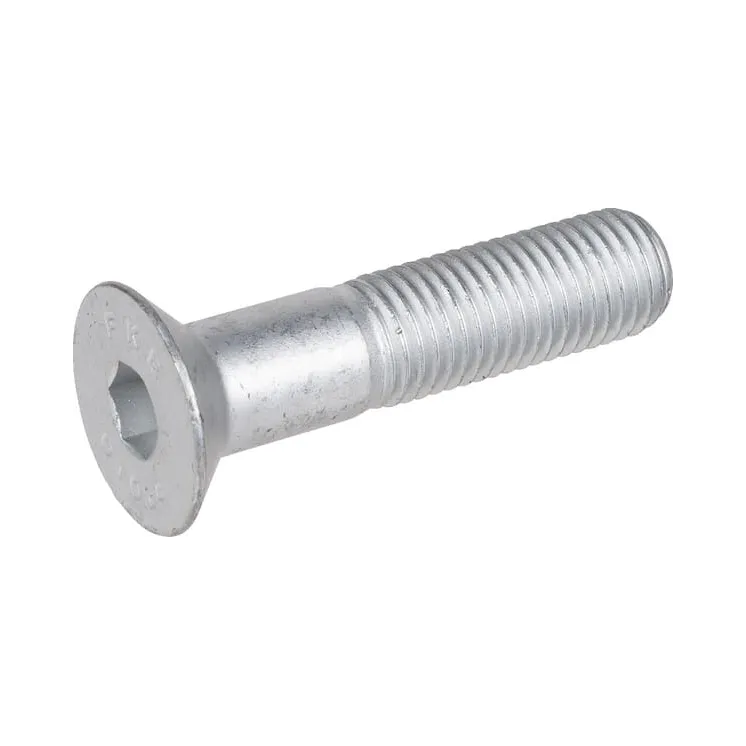 Skrūve M16x70-10,9 3016148 Lemken