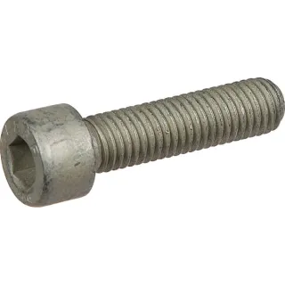 Cylinder bolt M10x40-8.8 DI  3015811 Lemken