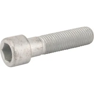 Cilindra skrūve M16x65-8,8 DI 3016025 Lemken