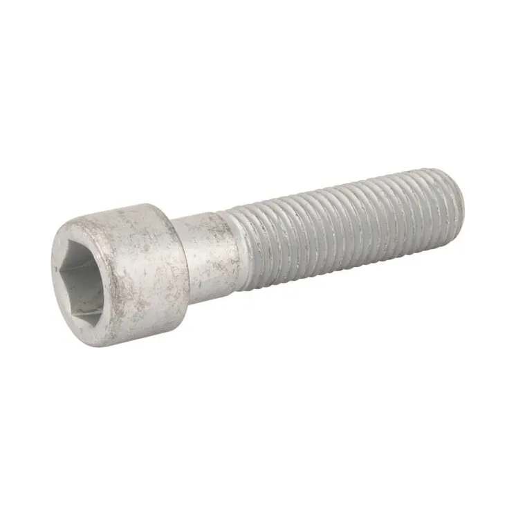 Cilindra skrūve M16x65-8,8 DI 3016025 Lemken