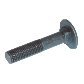 Īpašā skrūve 3012292 Lemken