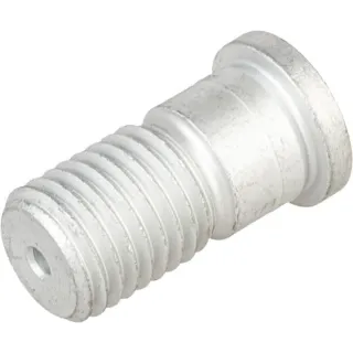 Skrūve D25/20x39/43.5-M20 3018218 Lemken