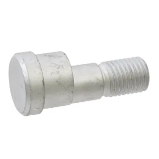 Bolt 24x75   3018215 Lemken
