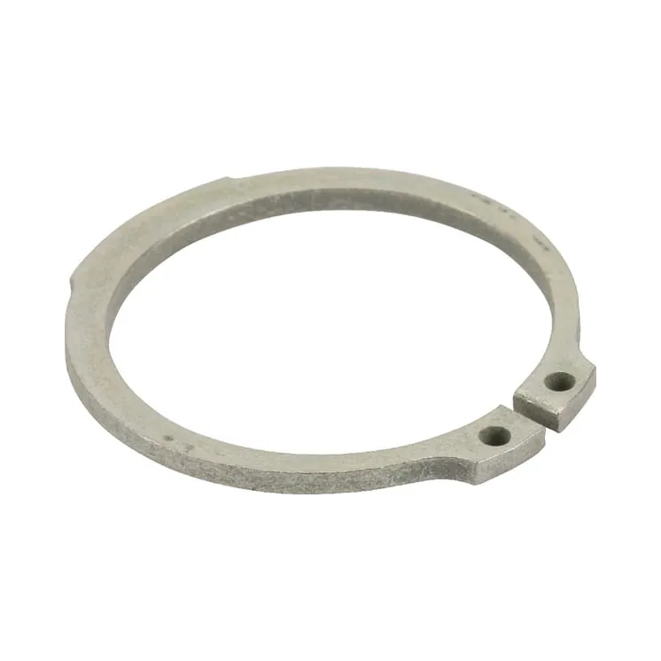 Aplis A 50x3 DIN471 3058877 Lemken