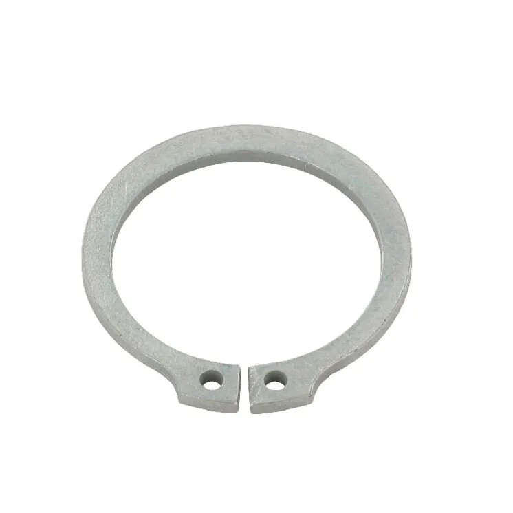 Aplis 30x2 DIN471 Zn 3058867 Lemken