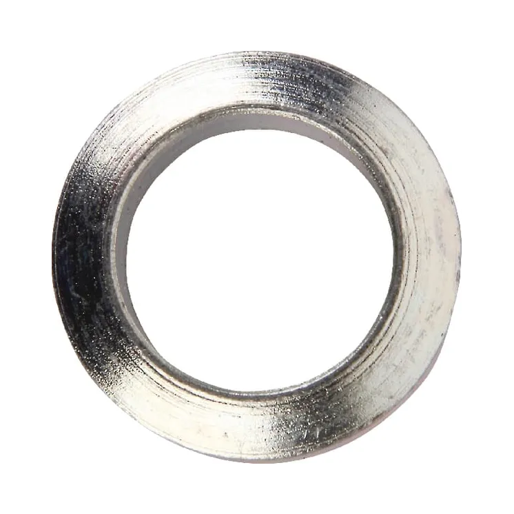 Paplāksne D25/16,5x9 R22 zn 30510101 Lemken