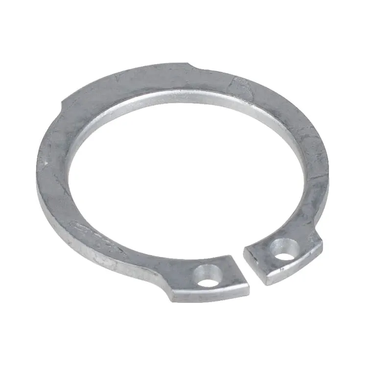 Aplis A 25x2,0 DIN471 ZN 3058861 Lemken