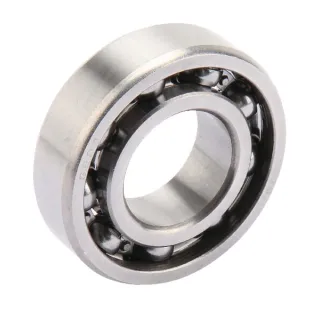 Bearing  6205  3198589 Lemken