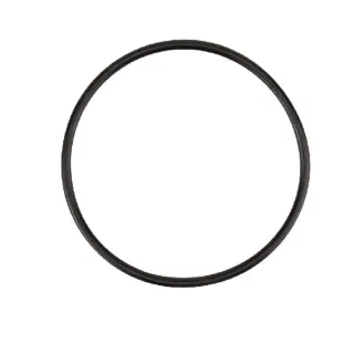 O-ring 62x3 mm  3751113 Lemken