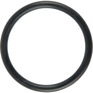 Ring 29.2x3  37810283 Lemken F611903