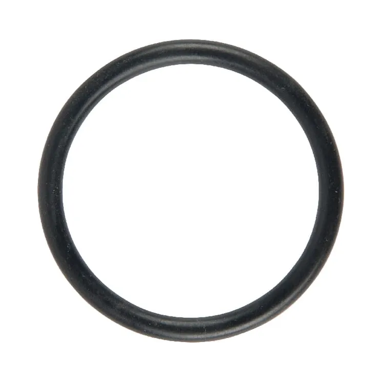 Gredzens 29,2x3 37810283 Lemken F611903
