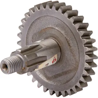 Gear   56202510 Kuhn