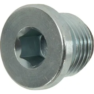 Magnetic Plug   56207000 Kuhn