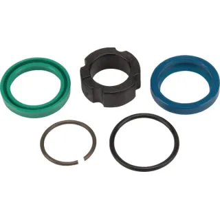 Seal kit D25  5759166 Lemken