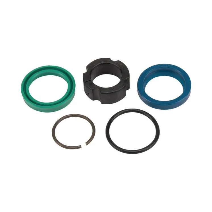 Seal kit D25  5759166 Lemken