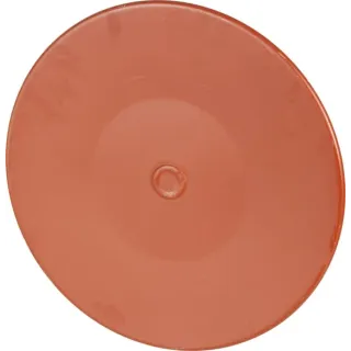 Disks 56834300 Kuhn