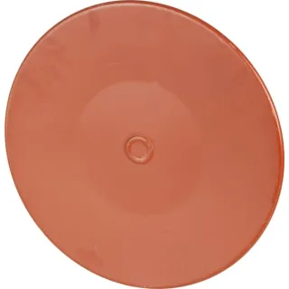 Disks 56834310 Kuhn