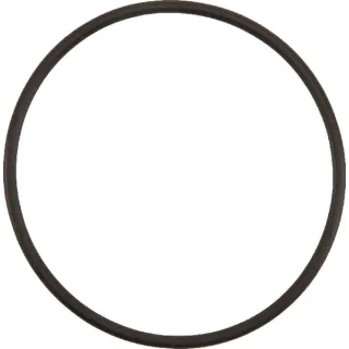 O-Ring  82065759 Kuhn