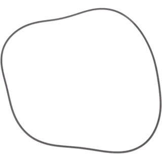 O-ring  82060069 Kuhn