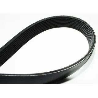 Belt  83152036 Kuhn