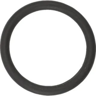 O-ring 20x2.5  F612016 Lemken