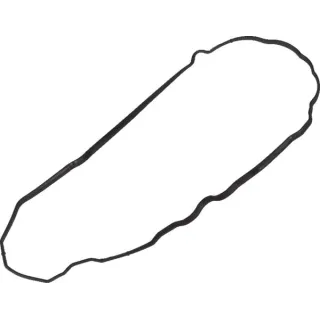 Rocker cover gasket  001026472 SDF