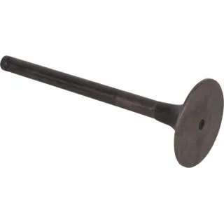 Valve, inlet  001060160 SDF