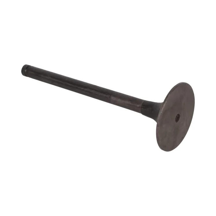 Valve, inlet  001060160 SDF