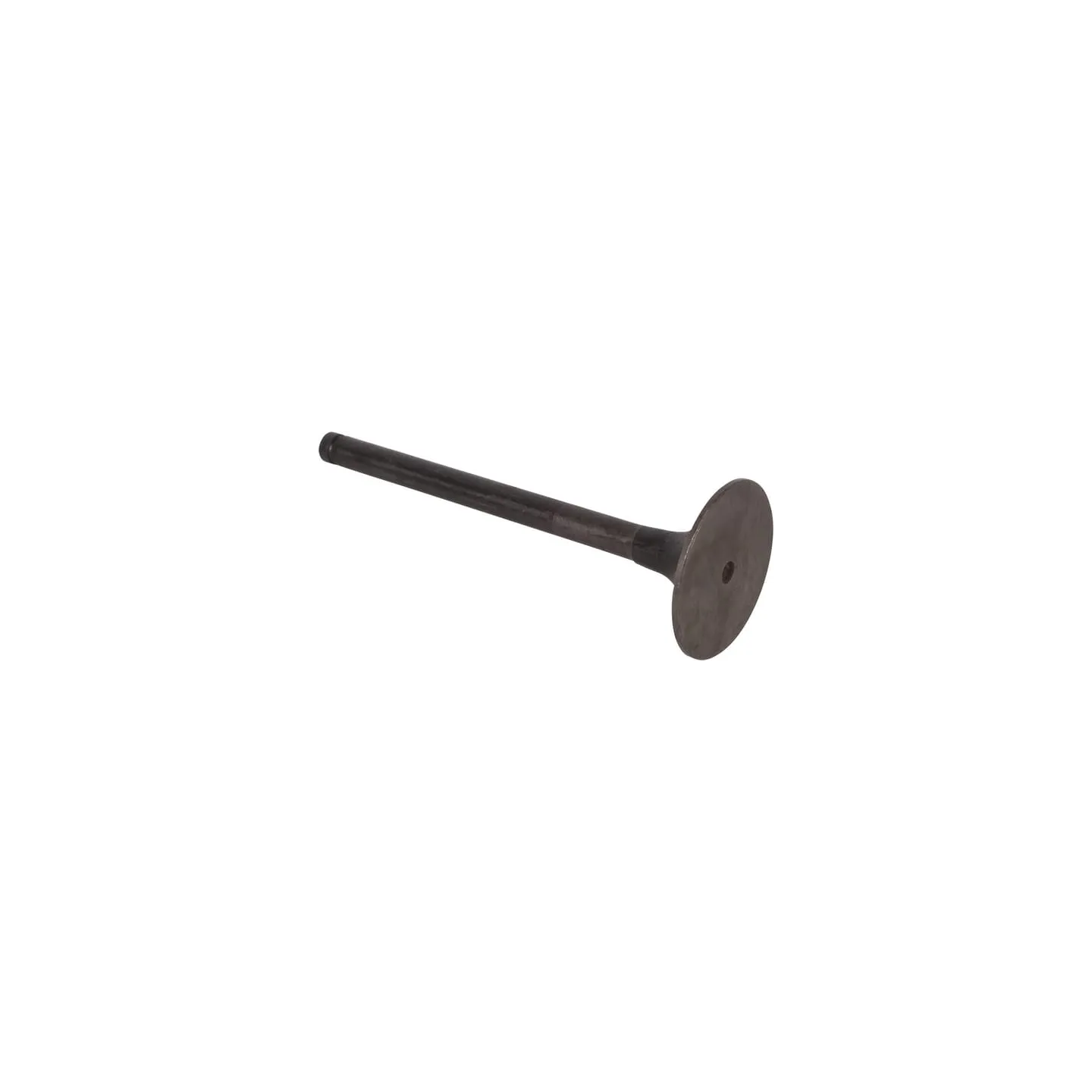 Valve, inlet  001060160 SDF
