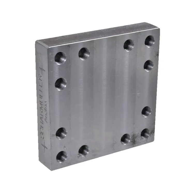 Metināt uz montāžas plāksnes 160x160mm 12x M20 00645130 Scharmüller