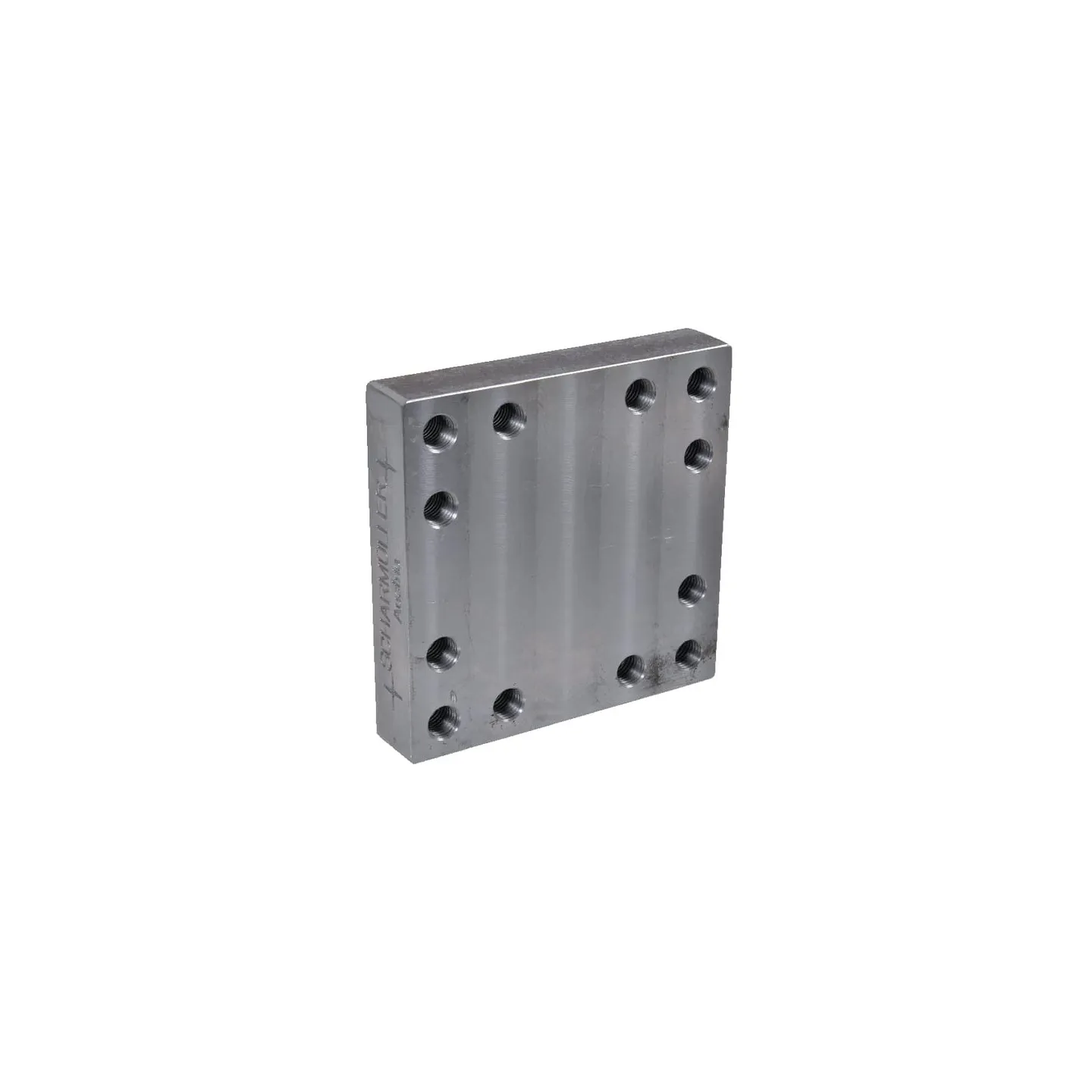 Metināt uz montāžas plāksnes 160x160mm 12x M20 00645130 Scharmüller