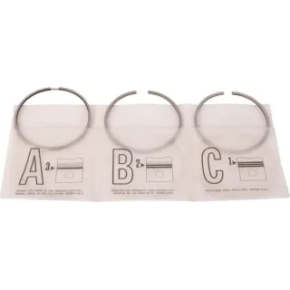 Piston ring kit  007800526 SDF