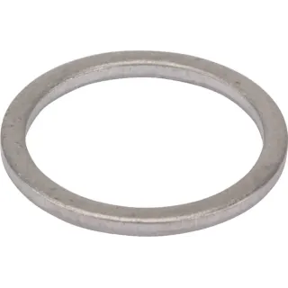 Seal ring  01148356 SDF