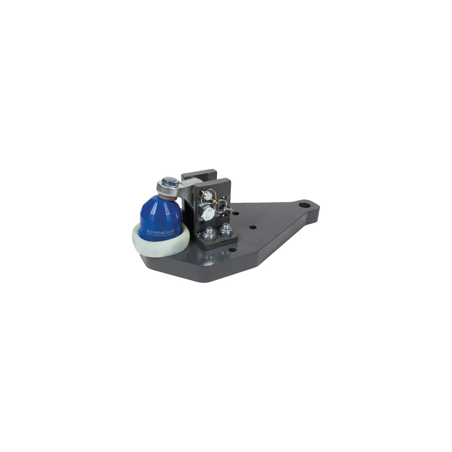 Support plate K80  009606490A11 Scharmüller 009606490A24