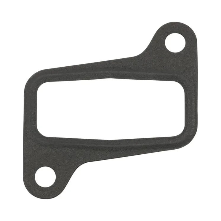 Inlet Gasket  001778100 SDF 00111304010