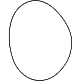 O-ring  01177874 SDF