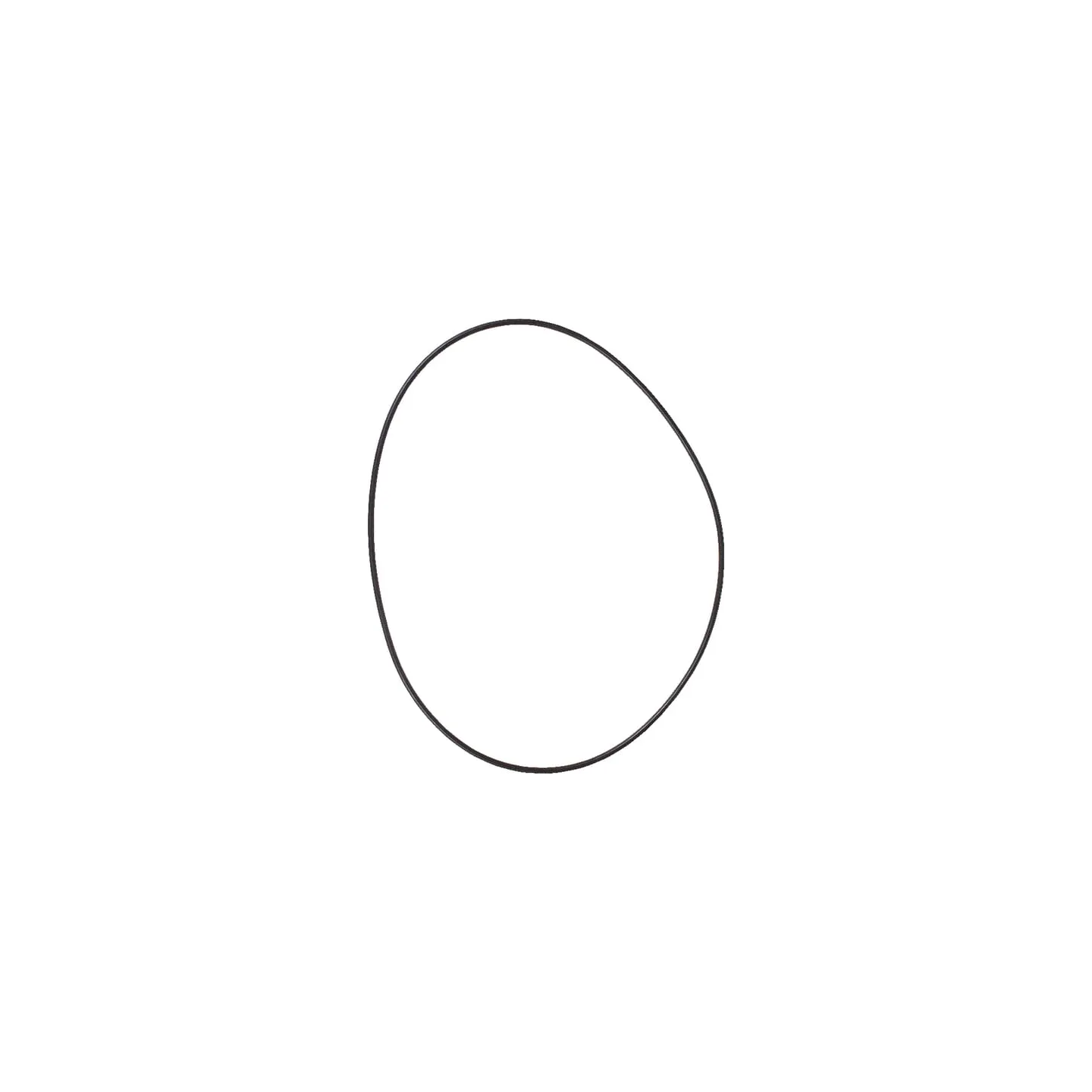 O-ring  01177874 SDF