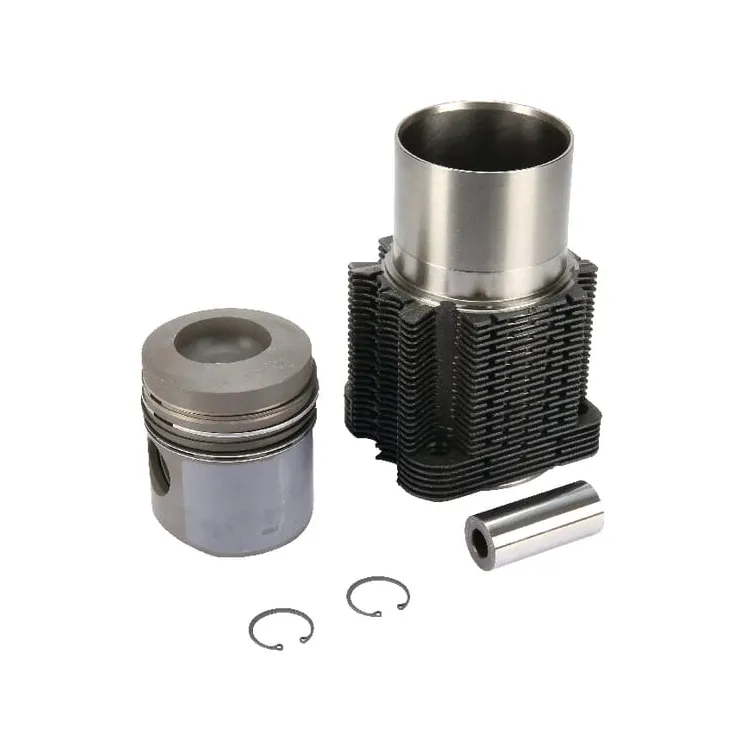 Deutz piston and liner set  02925624 SDF 93280960