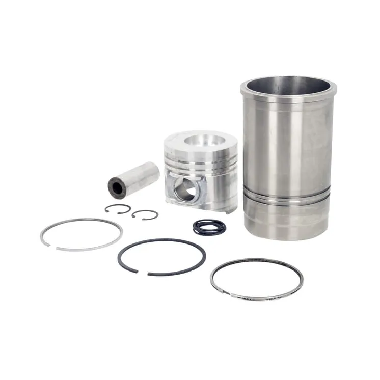 Piston and liner assembly  03860065A SDF