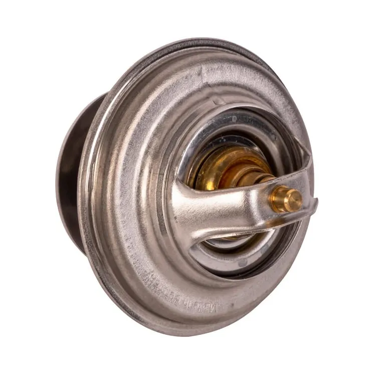 Thermostat  04224847 SDF