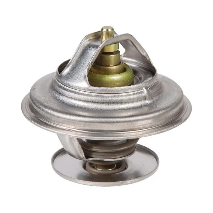 Thermostat  04224846 SDF