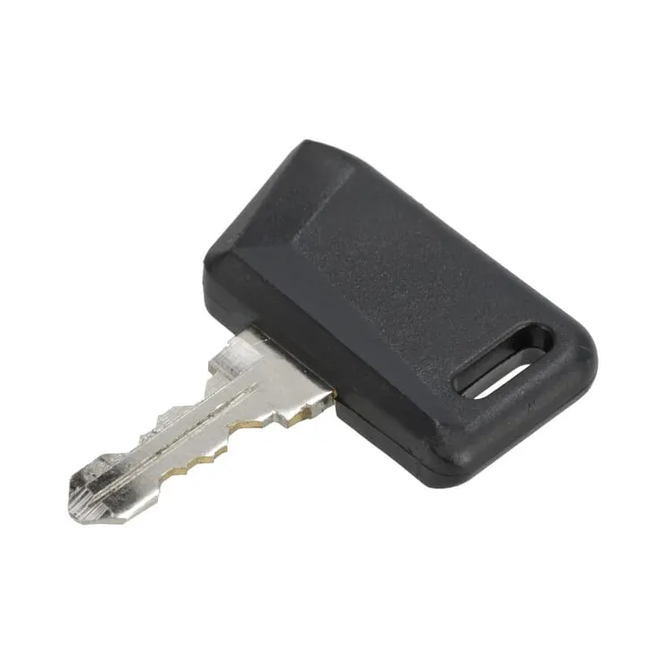 Ignition key  090023501 SDF 04418435